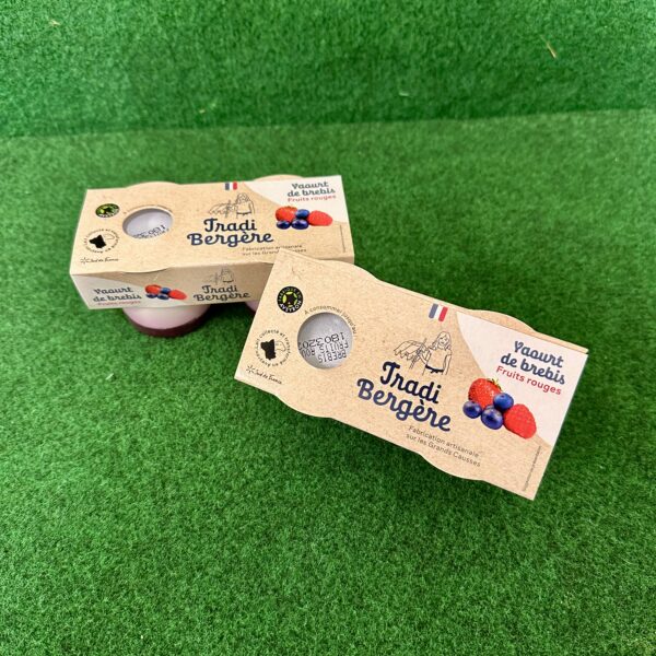 yaourts brebis BIO fruits rouge x2