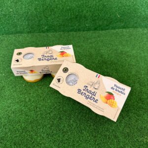 Yaourts brebis BIO mangue x2